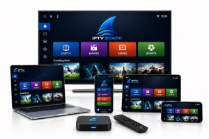 Abonnement IPTV Premium de 12 mois pour 5 écrans